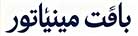 بافت مینیاتور